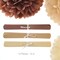 Tissue Pom Poms Tissue Paper Flowers Tissue Fluff Balls Party Decorations 12-Inch Pack of 12 (Brown, Khaki, Ivory)